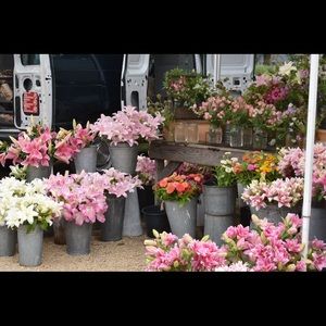 Meet your Posher, Ann